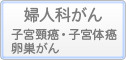 婦人科（子宮頸がん・子宮体がん・卵巣がん